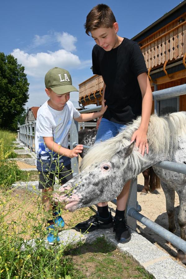 Lerchenberghof: Barrier-Free Family Country Hotel with Apartments and Activities Walddorf  Exterior photo